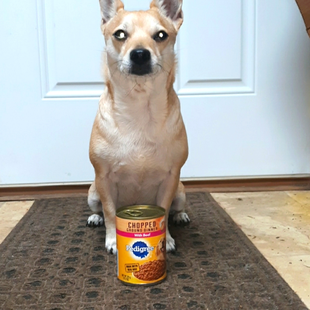4 Cans Dog Dinner